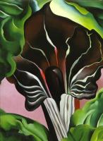 O Keeffe, Georgia - Jack in the Pulpit